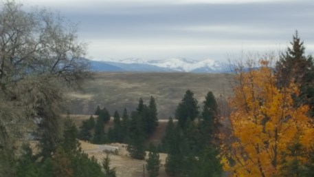 wp-1476998272783.jpg
